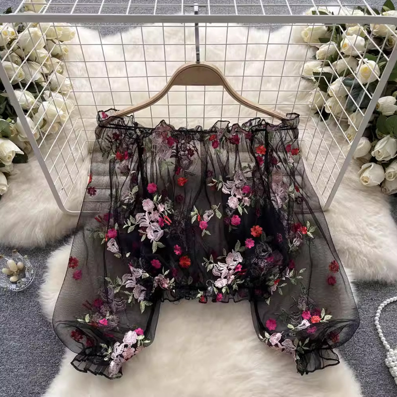 Einschultrige, bestickte, tran – Wrap Blouse Chiffon Bewertung und Preis