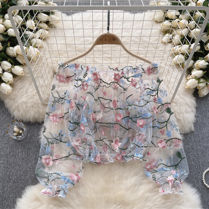Einschultrige, bestickte, tran – Wrap Blouse Chiffon Bewertung und Preis