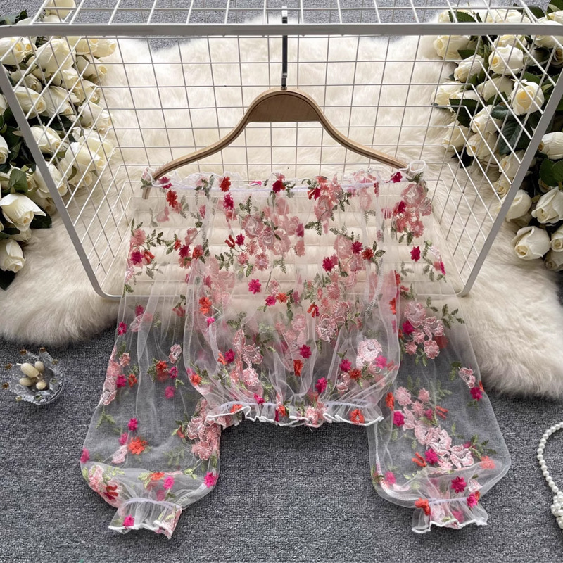 Einschultrige, bestickte, tran – Wrap Blouse Chiffon Bewertung und Preis